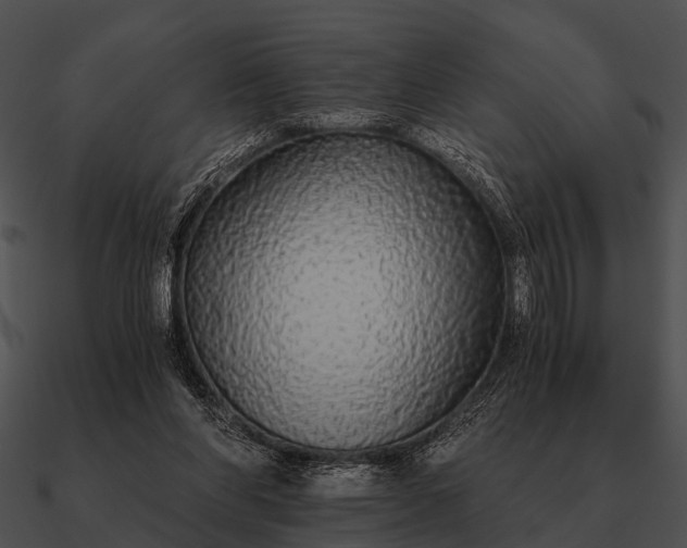 X0000090700206200708031420