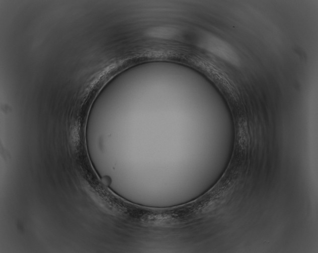 X0000090700208200708031420