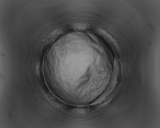 X0000090700209200708031420