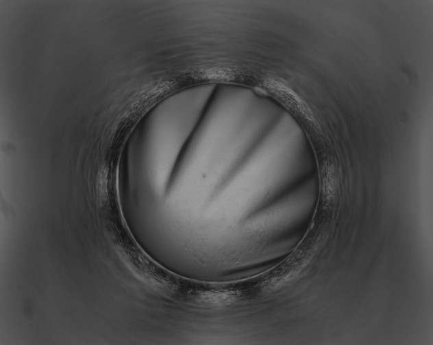 X0000090700213200708031420