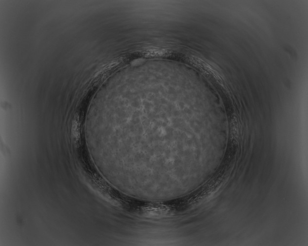 X0000090700215200708031420