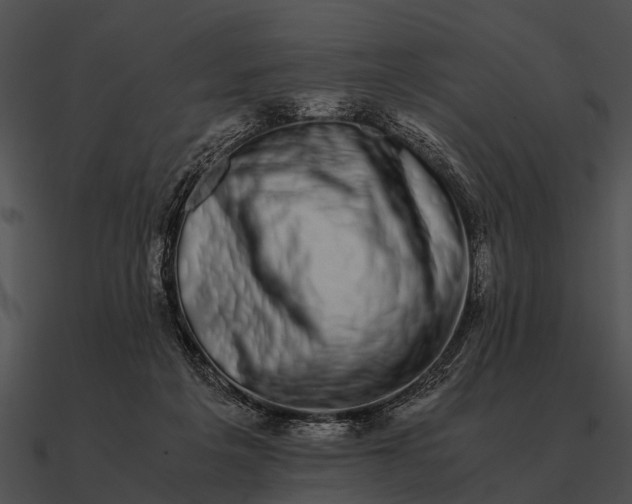 X0000090700217200708031420