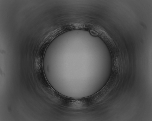 X0000090700218200708031420