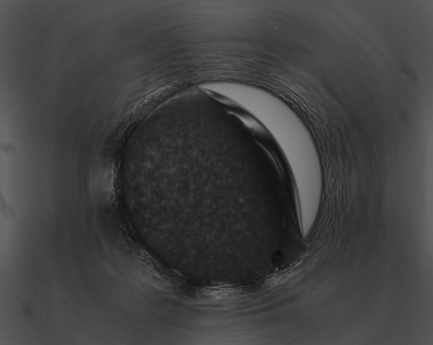 X0000090700219200708031420