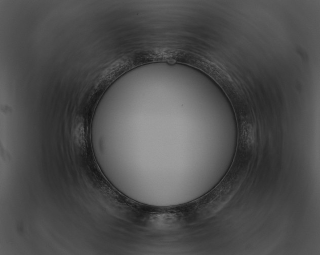 X0000090700220200708031420