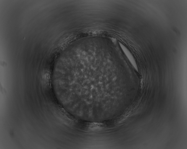 X0000090700222200708031420