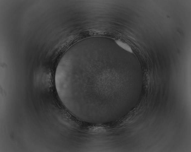 X0000090700224200708031420