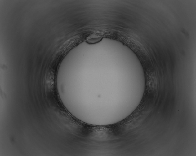 X0000090700226200708031420