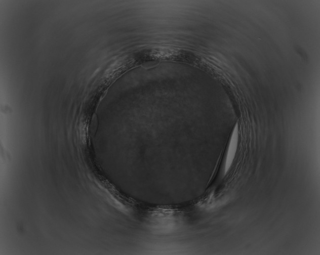 X0000090700227200708031420