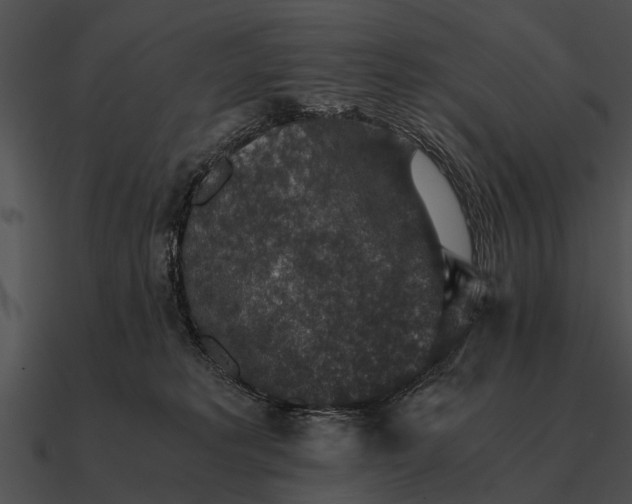 X0000090700229200708031420