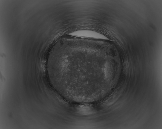 X0000090700232200708031420