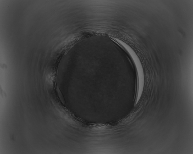 X0000090700235200708031419