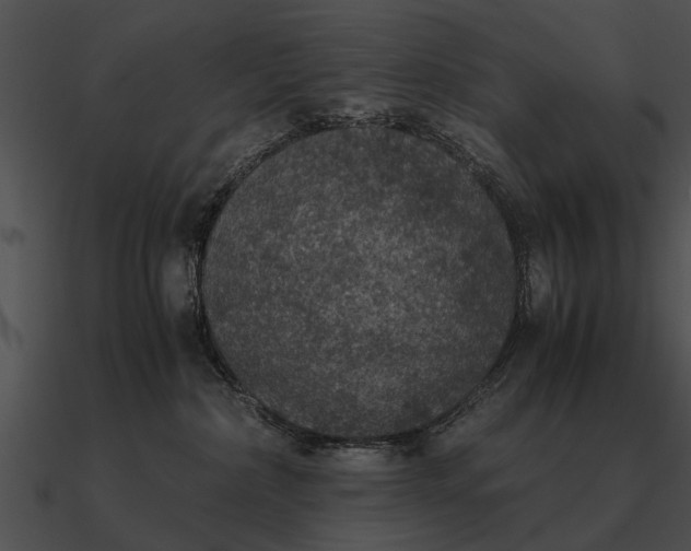 X0000090700236200708031419