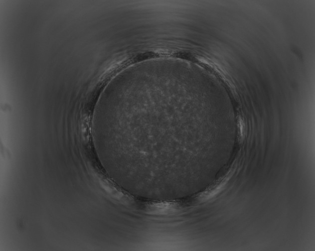 X0000090700237200708031419