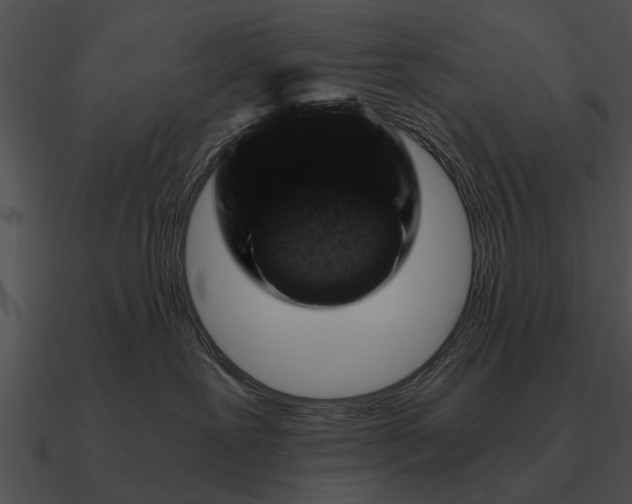 X0000090700239200708031419