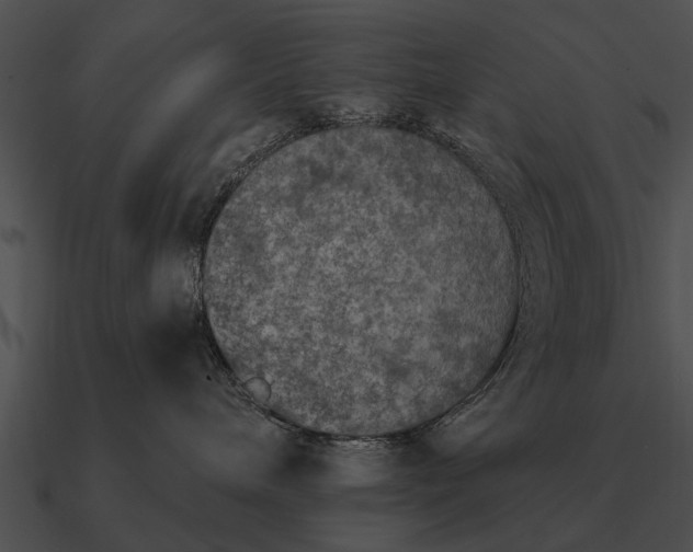 X0000090700240200708031419