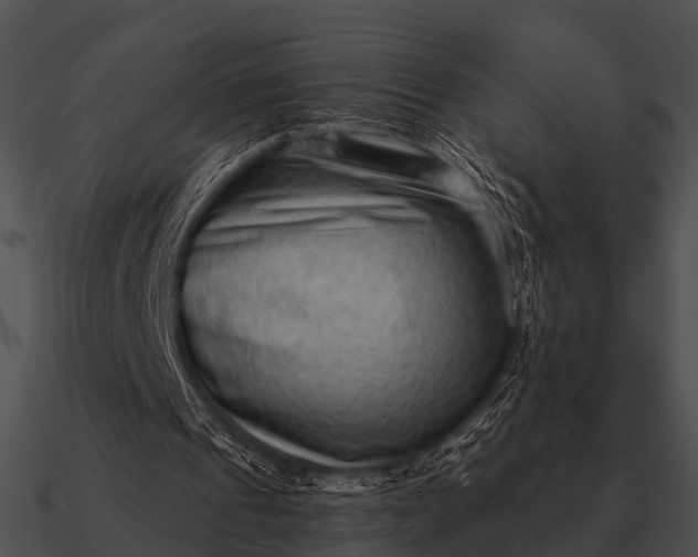 X0000090700241200708031419