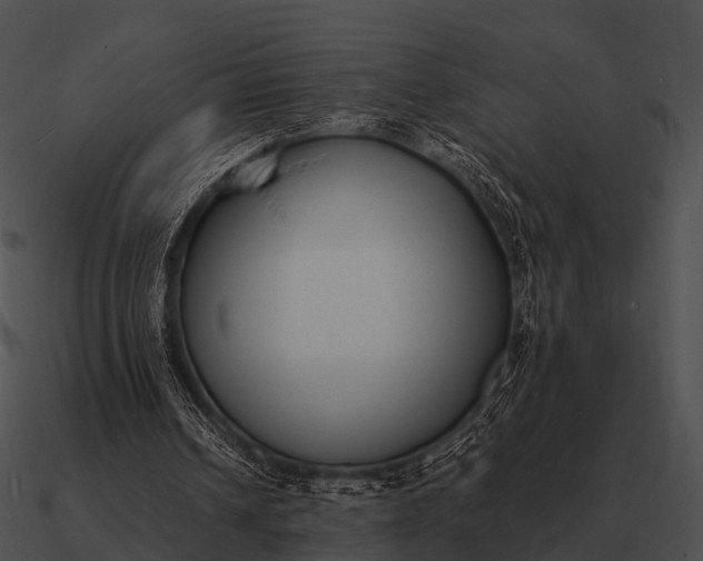 X0000090700242200708031419