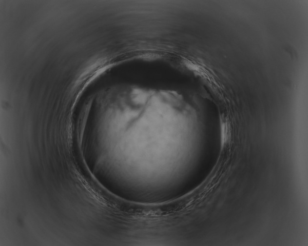 X0000090700243200708031419