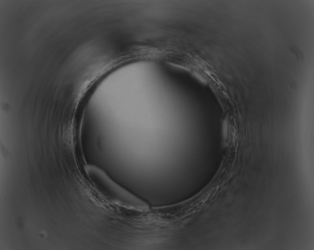 X0000090700244200708031419