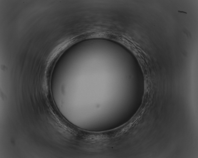 X0000090700245200708031419