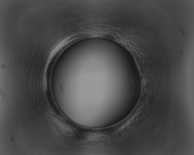 X0000090700246200708031419