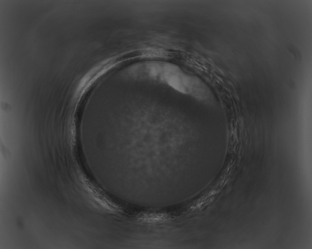 X0000090700247200708031419