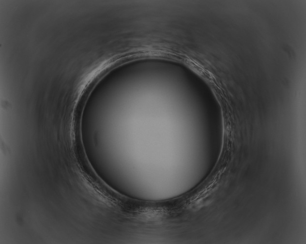 X0000090700248200708031419