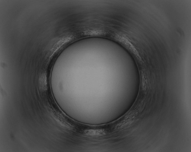 X0000090700251200708031419