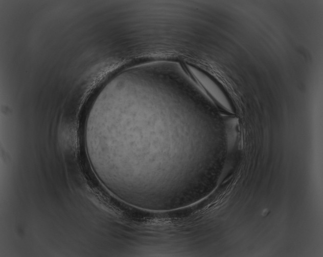 X0000090700252200708031419