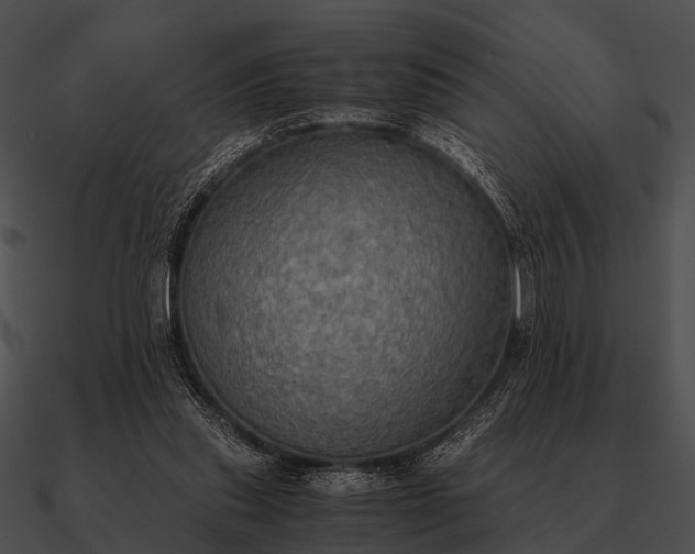 X0000090700253200708031419