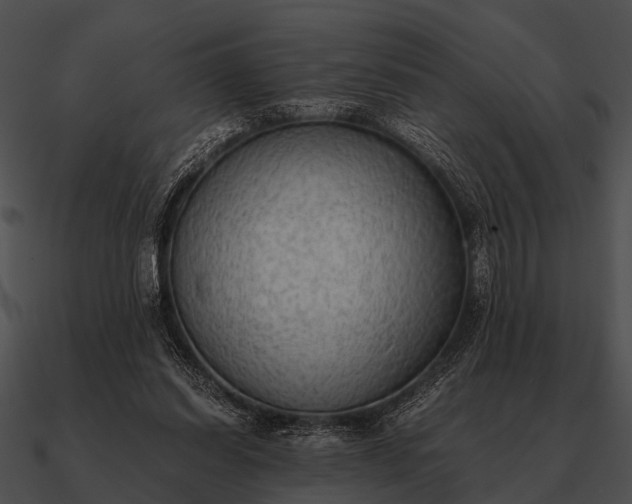 X0000090700254200708031419