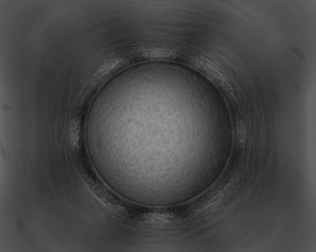 X0000090700255200708031419