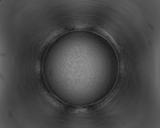 X0000090700257200708031419