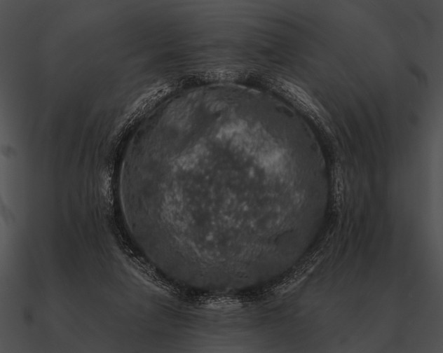 X0000090700258200708031419