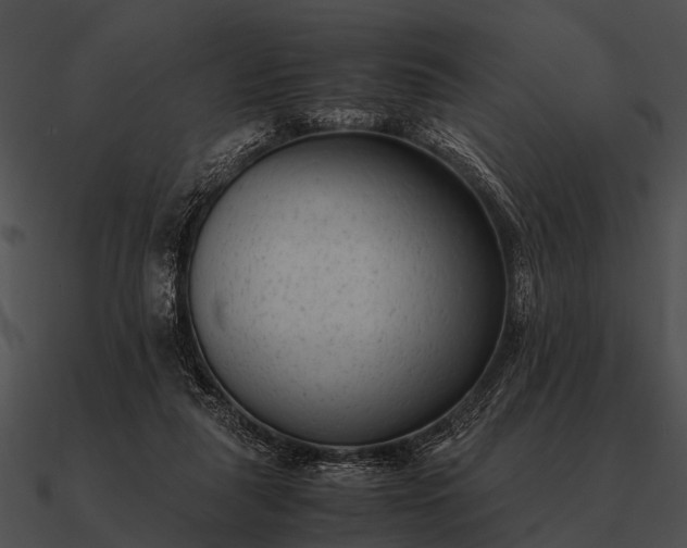 X0000090700259200708031419