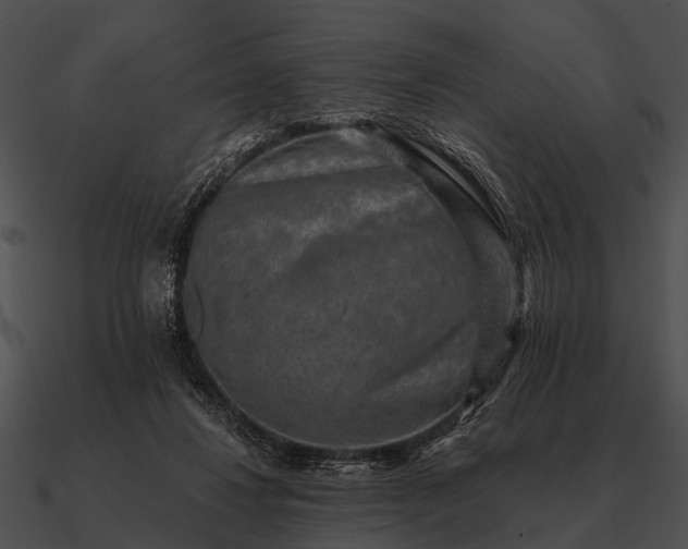 X0000090700260200708031419