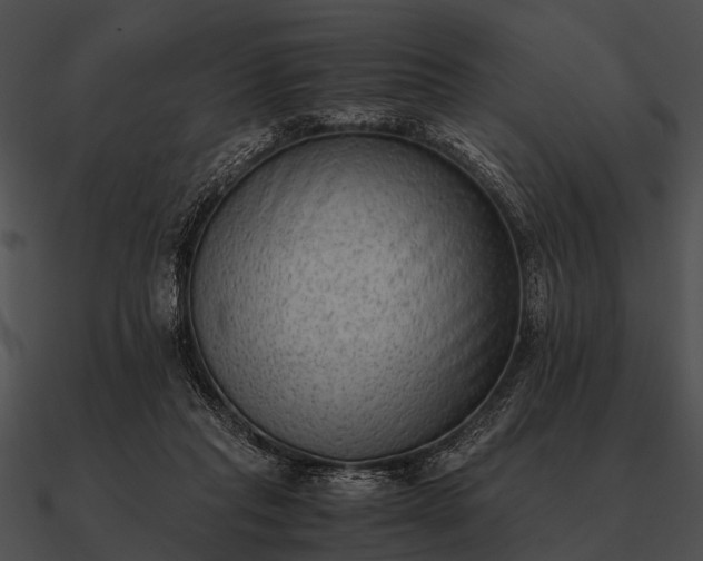 X0000090700261200708031419