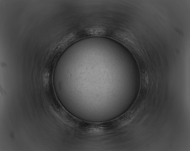 X0000090700263200708031419