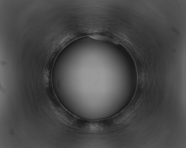 X0000090700264200708031419