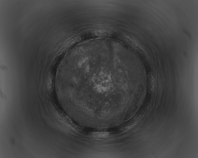 X0000090700266200708031419