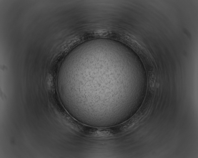 X0000090700270200708031419