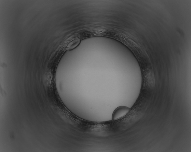 X0000090700274200708031419