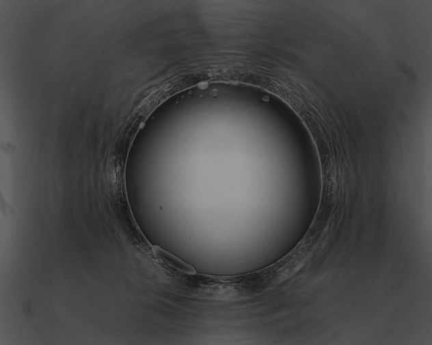 X0000090700276200708031419