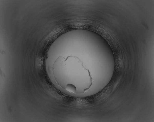 X0000090700278200708031419