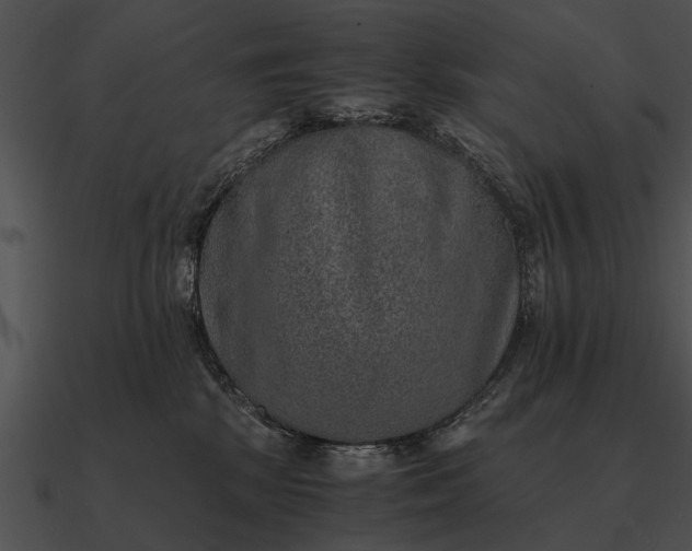 X0000090700281200708031419