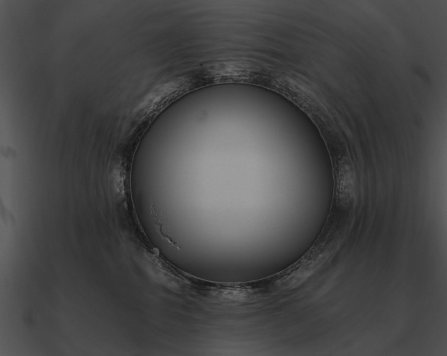 X0000090700282200708031419