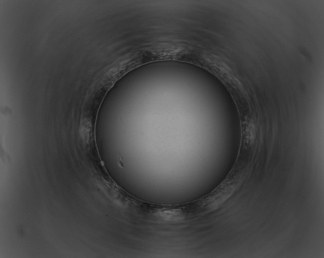 X0000090700283200708031419