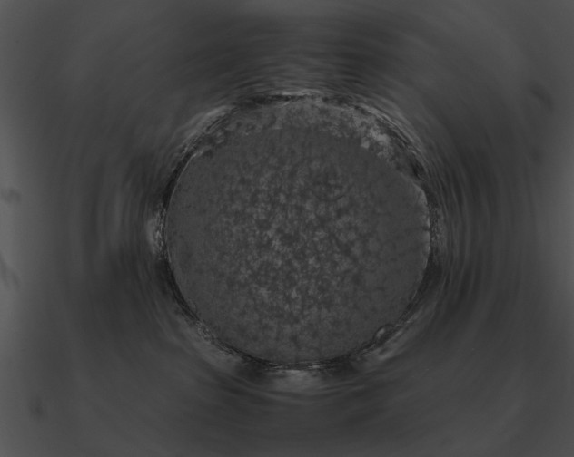 X0000090700285200708031419