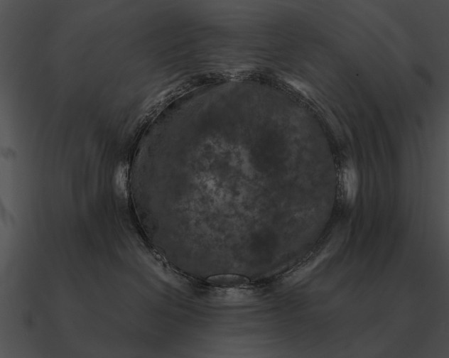 X0000090700286200708031419